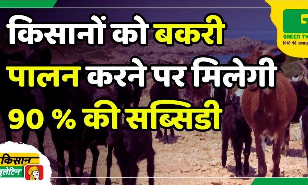 Goat Farming Scheme 2025