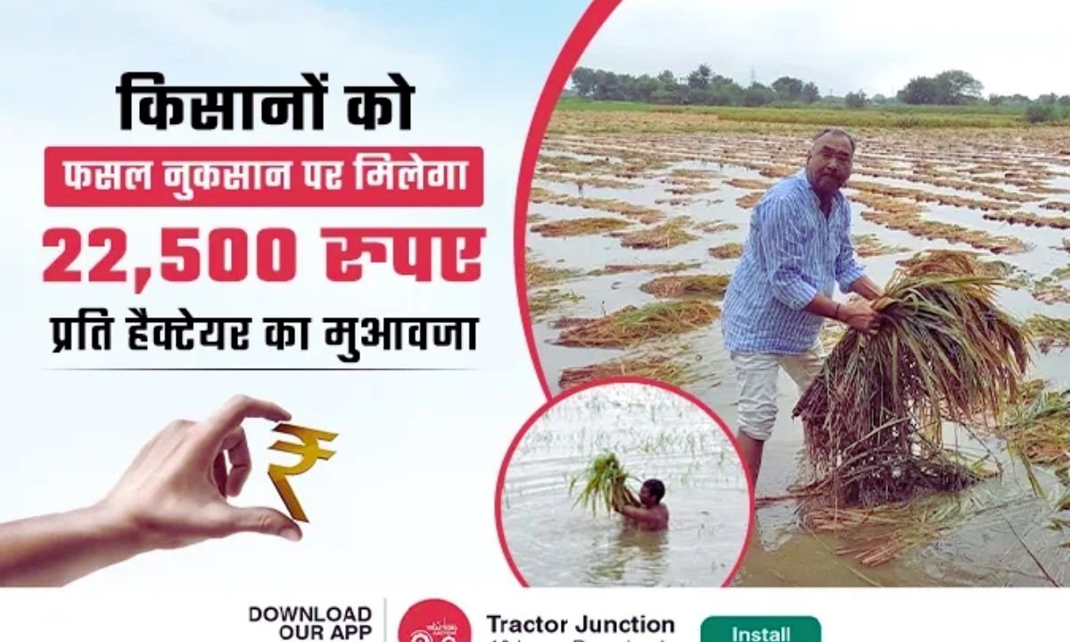 Rain and Flood Damage Your Crops