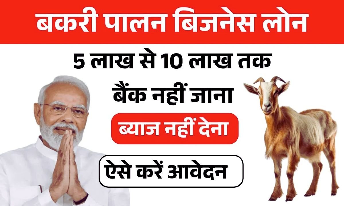 Start Your Goat Farming Dream